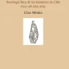 LOS PRIMEROS ANDINOS. TECNOLOGIA LITICA DE LOS HABITANTES DE CHILE TRECE MIL AÑOS ATRAS