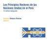LOS PRINCIPIOS RECTORES DE LAS NACIONES UNIDAS EN EL PERÚ 10 AÑOS DESPUÉS