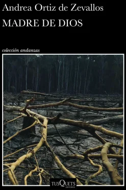 MADRE DE DIOS