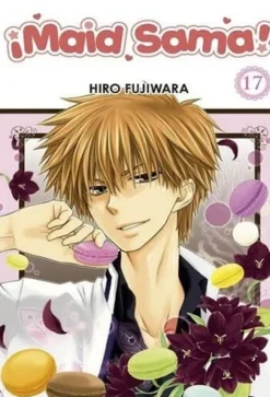 MAID SAMA N.17