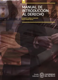 MANUAL DE INTRODUCCION AL DERECHO
