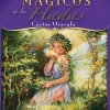 MENSAJES MAGICOS DE LAS HADAS-LIBRO + ESTUCHE C / CARTAS