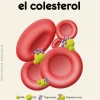 NUESTRO AMIGO EL COLESTEROL