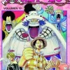 ONE PIECE N.17