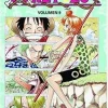 ONE PIECE N.9