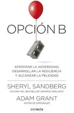 OPCION B