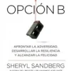 OPCION B