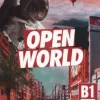 OPEN WORLD PRELIMINARY SB WITHOUT ANSWERS AND ONLINE PRACTICE