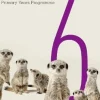 OXFORD MATHEMATICS PRIMARY YEARS PROGRAMME 6 SB