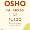 PALABRAS DE FUEGO. REFLEXIONES SOBRE JES