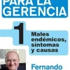 PASTILLAS PARA LA GERENCIA 1