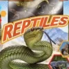 PEQUEÑOS EXPLORADORES - REPTILES