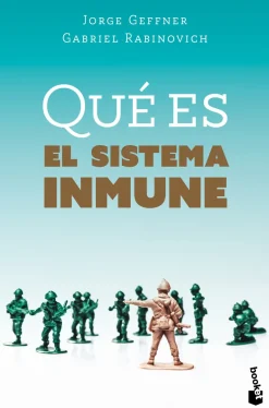 QUE ES EL SISTEMA INMUNE
