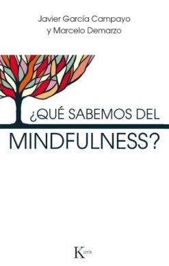 ¿QUE SABEMOS DEL MINDFULNESS?