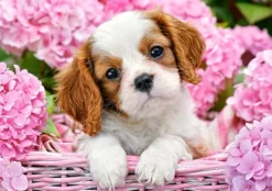 ROMPECABEZAS 500 PUP IN PINK FLOWERS