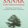 SANAR CON VIDAS PASADAS