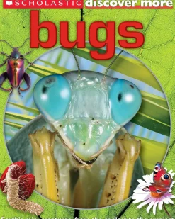 SCHOLASTIC DISCOVER MORE: BUGS