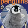 SCHOLASTIC DISCOVER MORE: PENGUINS