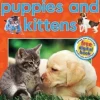 SCHOLASTIC DISCOVER MORE: PUPPIES AND KITTENS