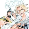 SHAMAN KING N.13