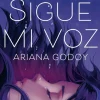 SIGUE MI VOZ