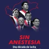 SIN ANESTESIA. UNA DÉCADA DE LUCHA DEMOCRÁTICA