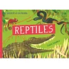 TE PRESENTO A MI FAMILIA: REPTILES