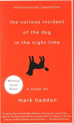 THE CURIOUS INCIDENT OF THE DOG IN THE NIGHT-TIME