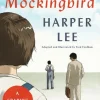 TO KILL A MOCKINGBIRD: A GRAPHIC NOVEL