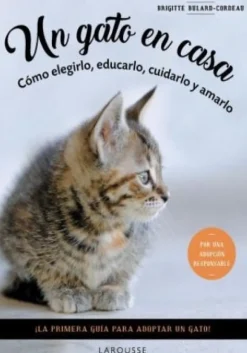 UN GATO EN CASA