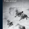 VIDA ANIMAL